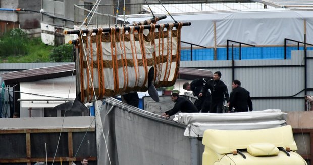 Putin rozprášil „velrybí vězení“. Stovka živořících kytovců měla skončit v zábavních parcích