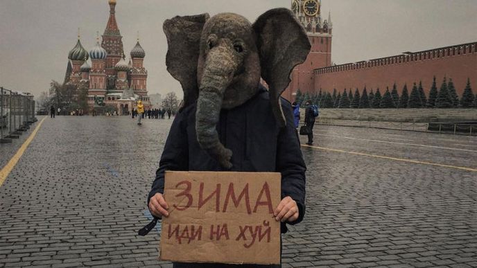 Rusko očima smutného slona. Nový trend, který na Instagramu "letí". 