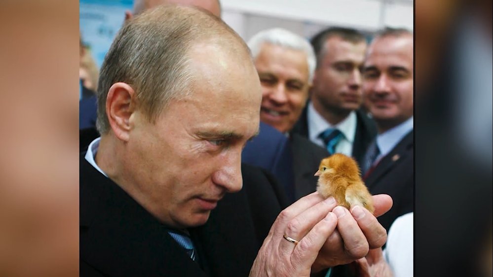 Vladimir Putin se rád fotí se zvířaty. Jako Hitler.