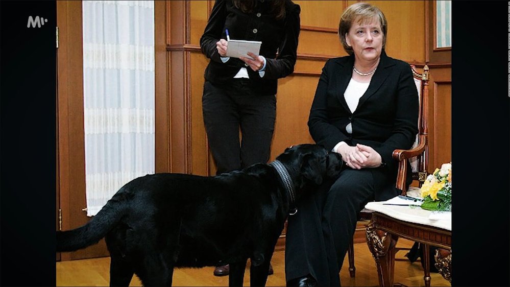 Angela Merkelová trpí fobií ze psů. Proto na ni Putin schválně pustil svého psa.