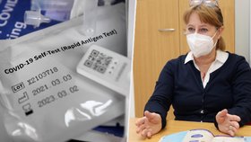 Viroložka Ruth Tachezy o detekování varianty omikron antigenními testy