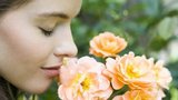Růže, královny zahrad: Jak je pěstovat?