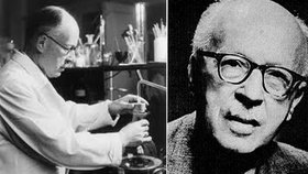Ruzicka dosáhl významných úspěchů především ve výzkumu syntézy hormonů. Dostal také Nobelovu cenu.