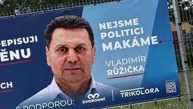 V politice zkouší štěstí podruhé.