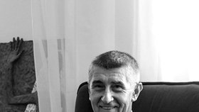 Vicepremiér Andrej Babiš