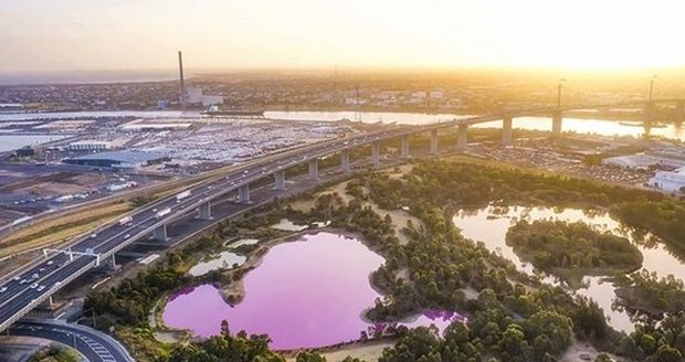 Úřady radí se v jezeře nekoupat, zvýšený výskyt řas může ošklivě podráždit pokožku.