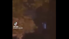 Rvačka v Ostrově (21. 10. 2026)