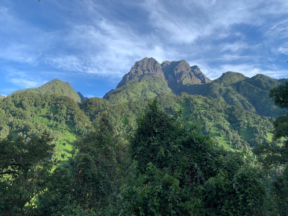 Rwenzori neboli Měsíční hory v Ugandě.