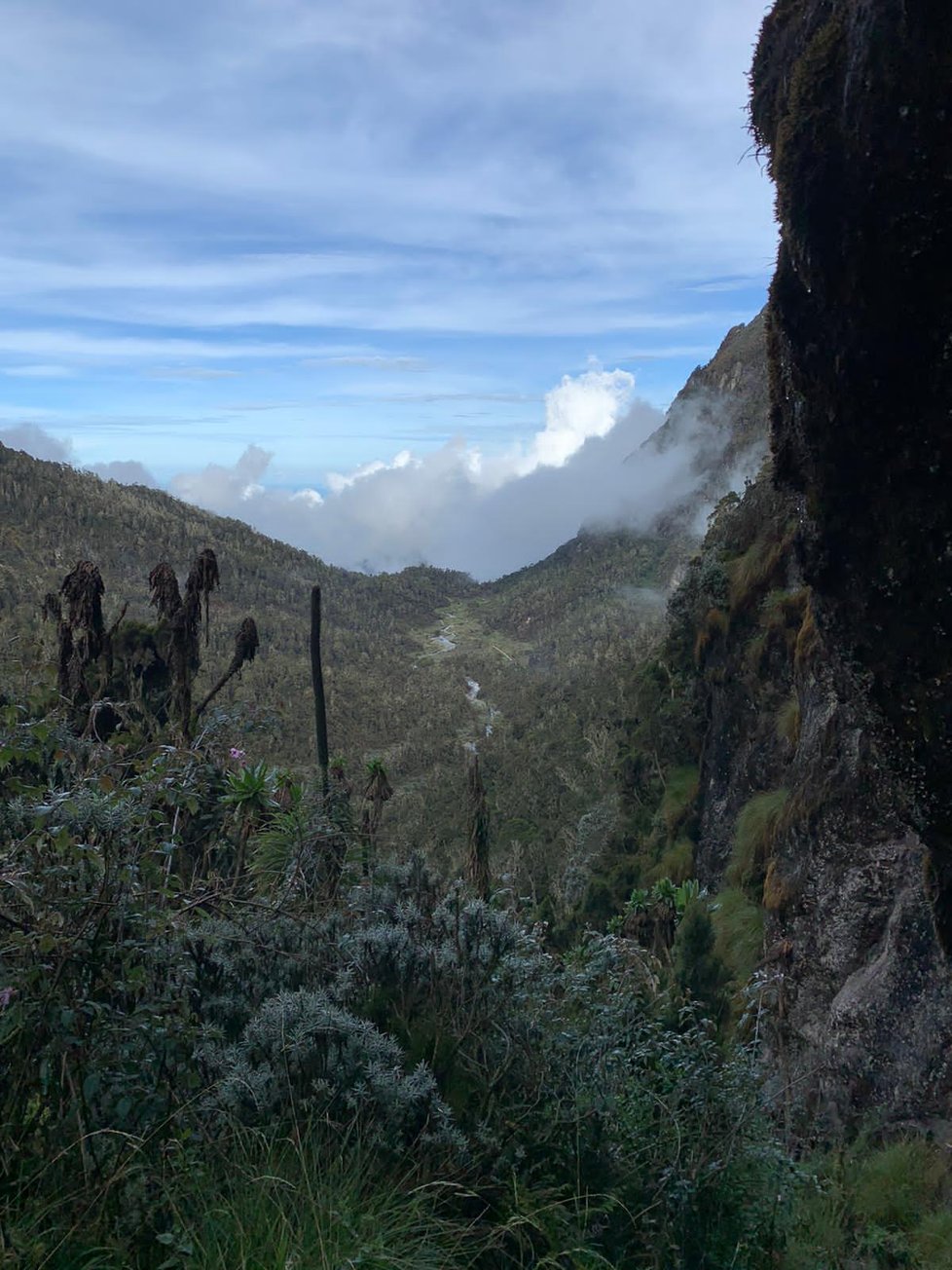 Rwenzori neboli Měsíční hory v Ugandě.