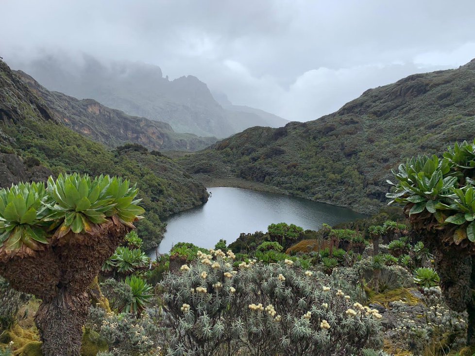 Rwenzori neboli Měsíční hory v Ugandě.