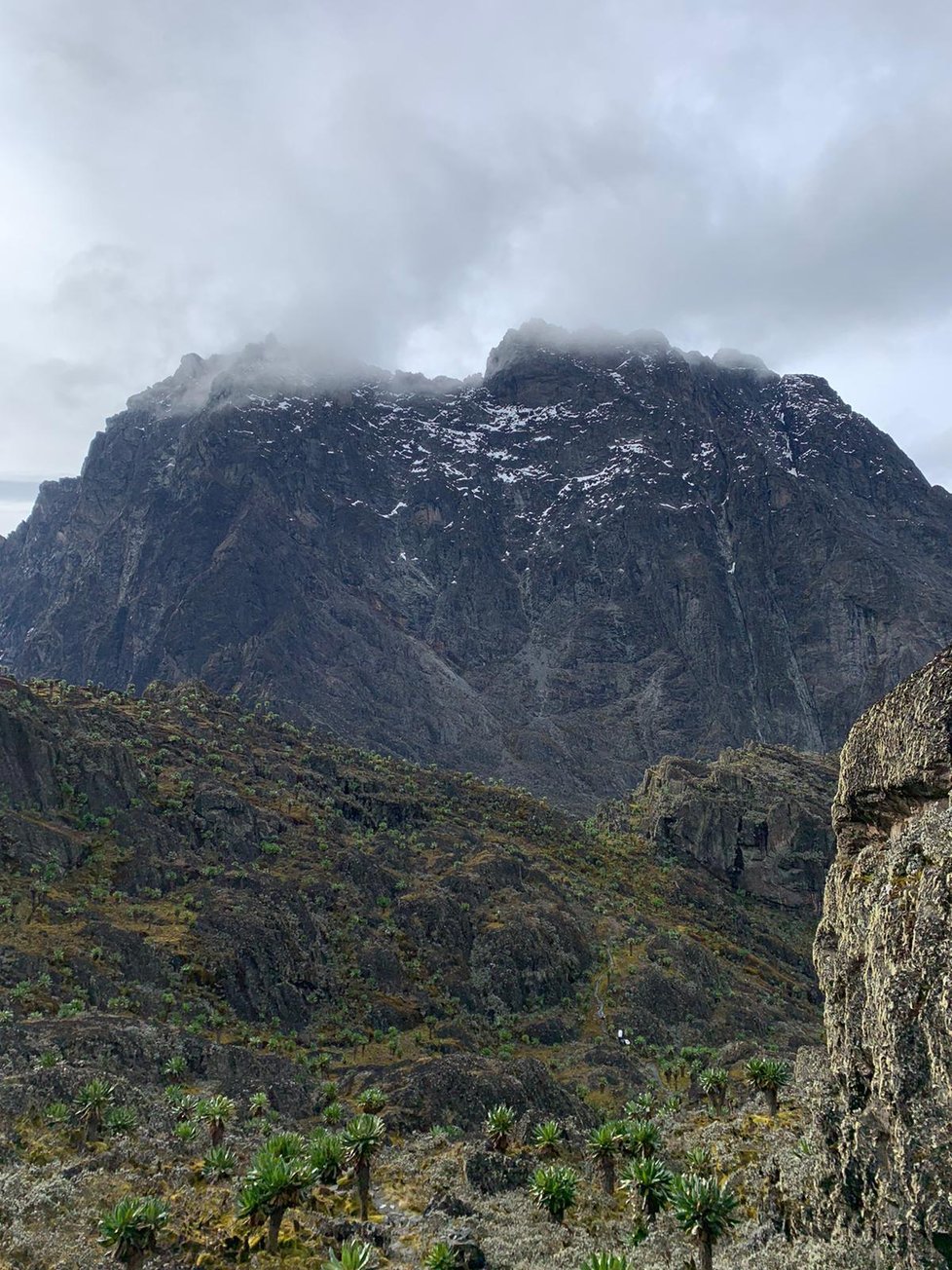 Rwenzori neboli Měsíční hory v Ugandě.