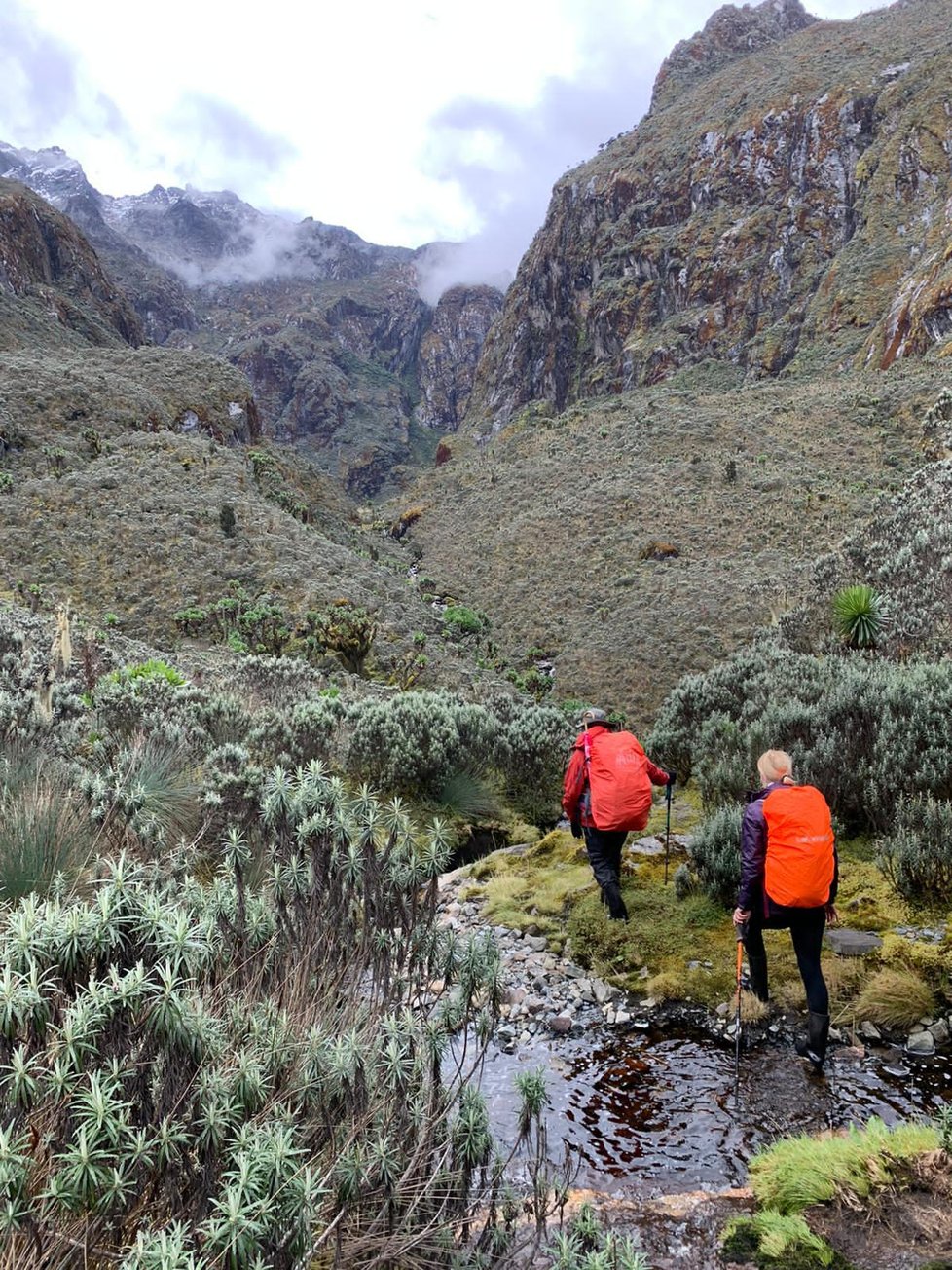 Rwenzori neboli Měsíční hory v Ugandě.