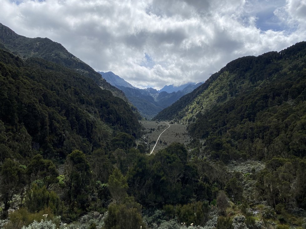 Rwenzori neboli Měsíční hory v Ugandě.