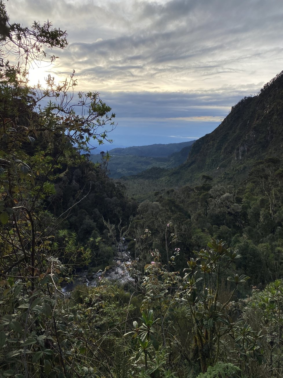 Rwenzori neboli Měsíční hory v Ugandě.