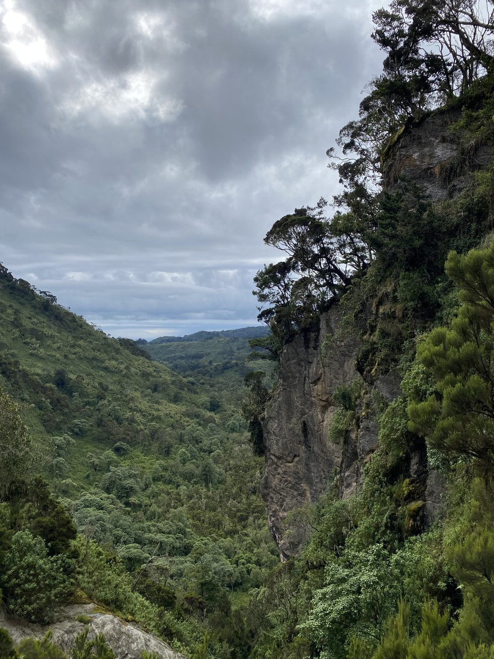 Rwenzori neboli Měsíční hory v Ugandě.