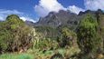 Pohoří Rwenzori (dříve Ruwenzori) na hranici Ugandy a Konga