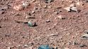 Jak se také hledá život na rudé planetě Milovníci záhad a tajemna pečlivě prohlížejí snímky marsovského povrchu zasílané sondou Curiosity. Na jednom z nich objevili „hlodavce podobného syslovi“ (pokud to tedy není kámen). Snímek zveřejnil Scott C. Waring na webu Ufosightingsdaily.com.