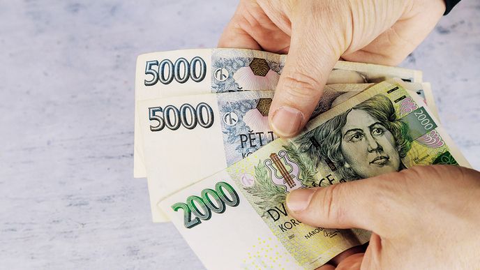 Je dost pravděpodobné, že ČNB nebude chtít držet měnu pod úrovní 24 korun za euro