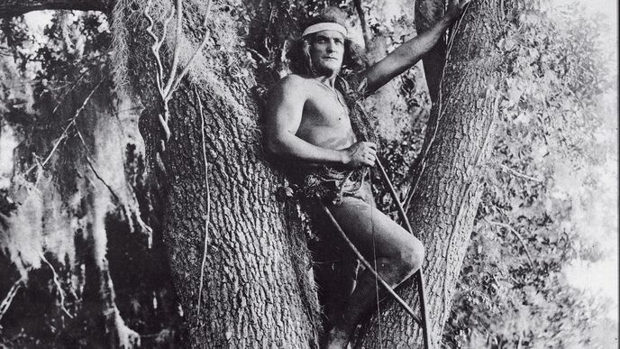 Tarzan z rodu Opů (1918) s Elmem Lincolnem v titulní úloze nastartoval tarzanovské století na stříbrném plátně, na televizních obrazovkách, VHS,  PC, XBOX...