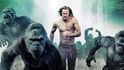 Legenda o Tarzanovi (2016). Alexander Skarsgård a gorily v mlze, Jane (Margot Robbieová) chybí. 