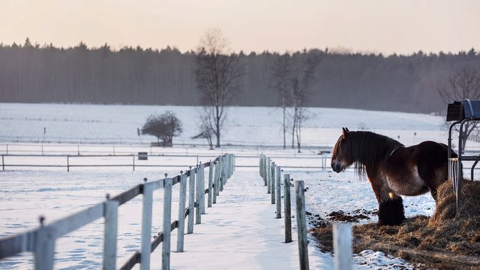 Peníze z Evropské unie na podporu venkova neplní svůj účel 