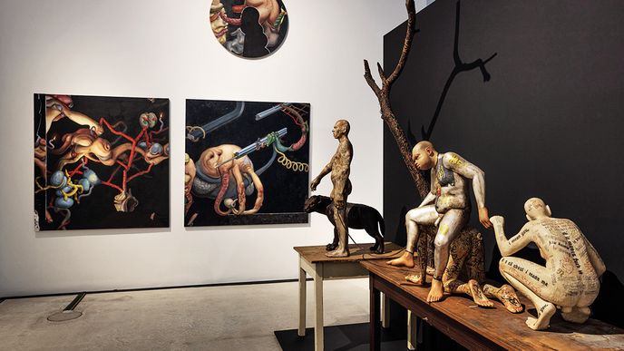 Pohled do instalace výstavy Všechnu moc imaginaci. Na čelní stěně obrazy Marka Meduny, z boku objekty Richarda Štipla.