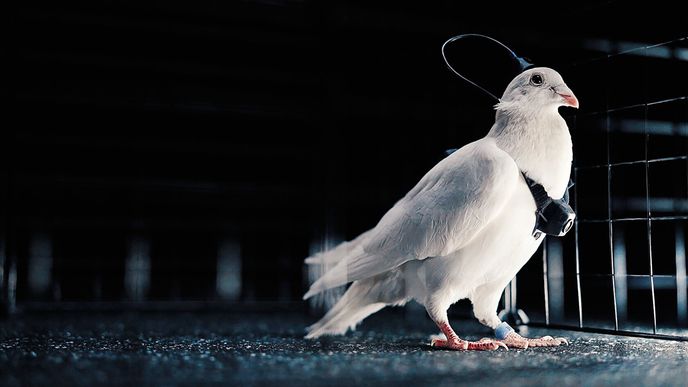 Ilustrační foto Ilustrační foto