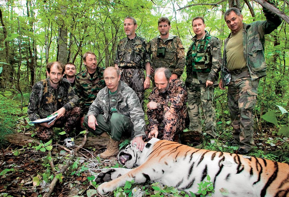 PUTIN – LOVEC A ZACHRÁNCE. Dálný východ: Z hustého podrostu se náhle vynořila pětiletá tygřice a zaútočila na televizní štáb, který prezidenta na procházce divočinou shodou okolností provázel. Už už se zdálo, že se kameraman promění v chutný zákusek, když prezident Putin popadl pušku a uspávací střelou tygřici skolil. Bohužel, posléze se ukázalo, že nebyla divoká, nýbrž pocházela ze zoo v Chabarovsku a v důsledku nastalého šoku chcípla.