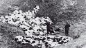 Během dvou dnů na konci roku 1941 povraždili nacisté a jejich lotyšští spojenci v Rumbulském lese 25 000 Židů