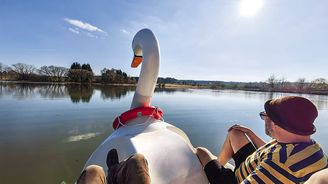 Co napadá Ondřeje Kobzu: Labutí jezero