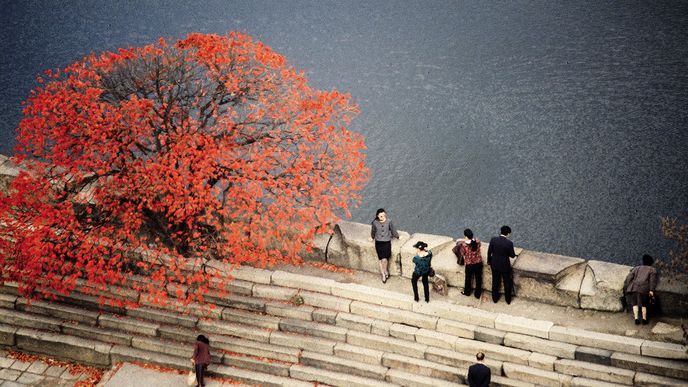 Petr Geisler: Červený strom (1987, z archívu rodiny Geislerových) Petr Geisler: Červený strom (1987, z archívu rodiny Geislerových)