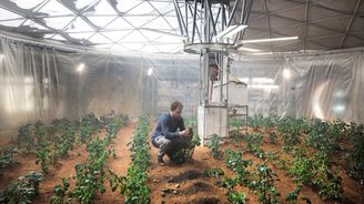 Zahrádkáři Marsu: Vědci se snaží najít způsob, jak z půdy rudé planety udělat úrodnou ornici Zahrádkáři Marsu: Vědci se snaží najít způsob, jak z půdy rudé planety udělat úrodnou ornici