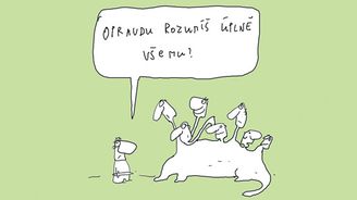 Experti na všechno: Znamená úspěch ve svém oboru automaticky úspěšnost ve všem?