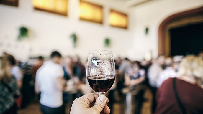 Snobové se dívají na místní výstavy vína s nedůvěrou a pohrdáním, ale právě tohle je základ, ze kterého mohou vyrůst ti světově úspěšní moravští vinaři