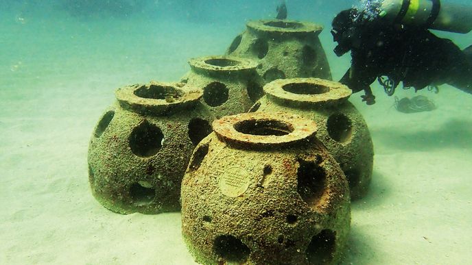 Podmořský hřbitov firmy Ethernal Reef se stane útočištěm mnoha ryb a dalších organismů