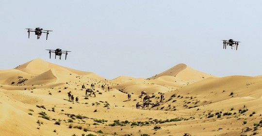 Roj českých dronů nad pouští ve Spojených arabských emirátech