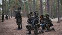 Armády neutrálních skandinávských zemí, Švédska a Finska, jsou překvapivě silné