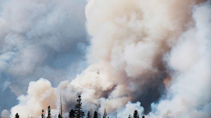 Kanadské smoking safari patří k největším na světě. Nemělo by ovšem zapadnout, že se inspirovalo ve Dvoře Králové.