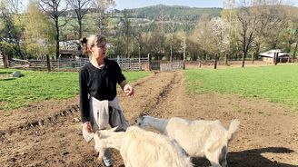 Mezi kozami a zubry: Gastrostezky, které vás zavedou za dobrým jídlem Mezi kozami a zubry: Gastrostezky, které vás zavedou za dobrým jídlem