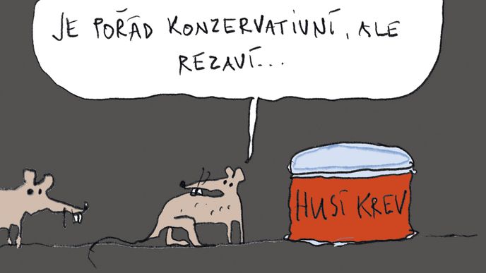 Ilustrační kresba