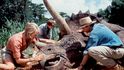 Jurský park (1993) Přestože šlo o velkofilm za bezmála tři čtvrtě miliardy, Dernová měla pocit, že se Spielbergem točí malý nezávislý projekt 