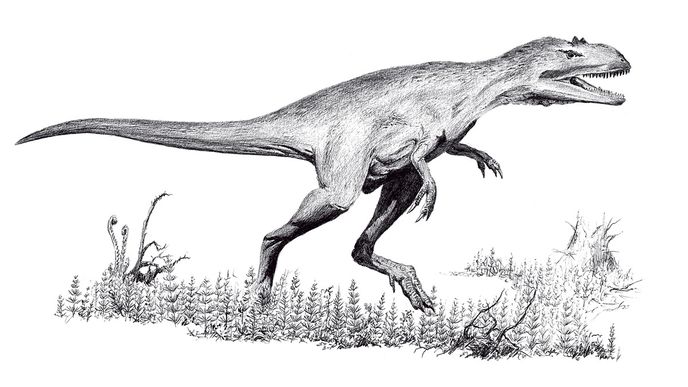 Možná podoba moravské tetanury, jak se odborně přezdívá dravému dinosaurovi, žijícímu zhruba  před 160 milióny let v okolí dnešního Brna…