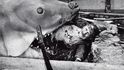 Robert Shaw úpí pod stiskem čelistí gumového žraloka