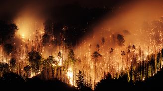 Silná slova oheň neuhasí. České Švýcarsko nejdřív zničil kůrovec, teď obrovský požár