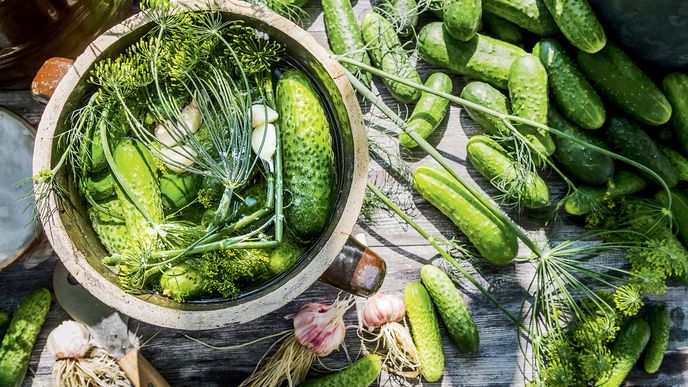 Nakládané okurky patří mezi naše gastronomické národní poklady. Tak si je hýčkejme.