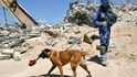 Záchranáři se svými psy, včetně českého týmu, prohledávají trosky