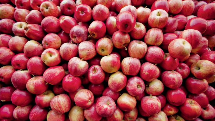 Hrdí Poláci bojují s Ruskem větší spotřebou jablek