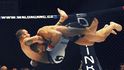 Smíšená bojová umění MMA získávají čím dál širší publikum
