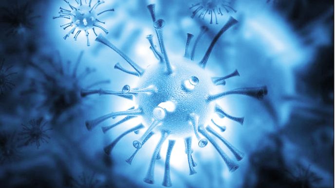I po 15 tisíciletích v ledu zůstaly viry životaschopné
