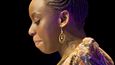 Chimamanda Ngozi Adichie, podle Timesů „nejvýznačnější z řady kritikou ceněných mladých anglofonních autorů, kteří úspěšně přitahují novou generaci čtenářů k africké literatuře“  